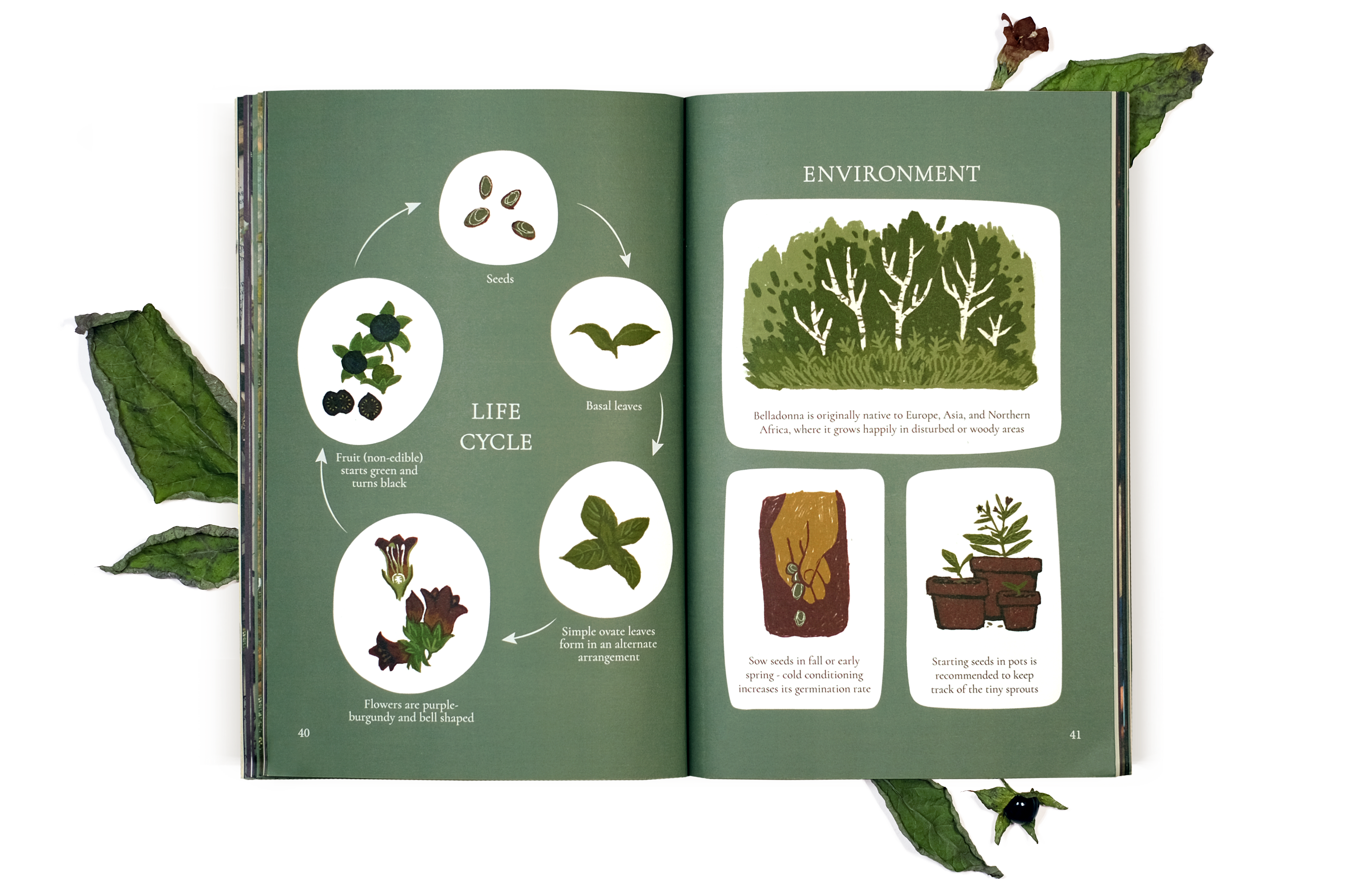 Poison Garden: Belladonna