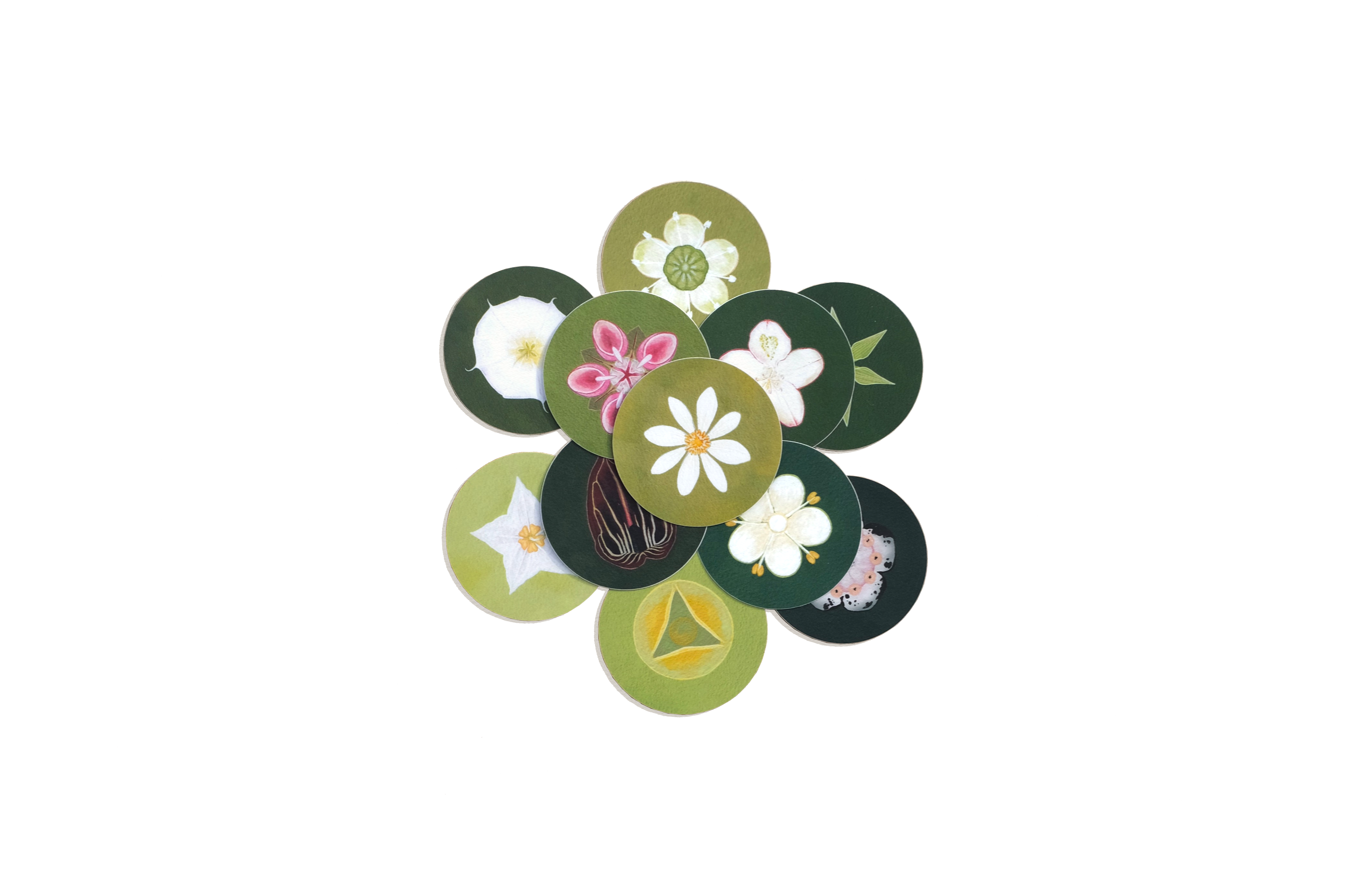 Build-Your-Own Flower Sticker Pack